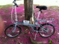 Dahon speed d7